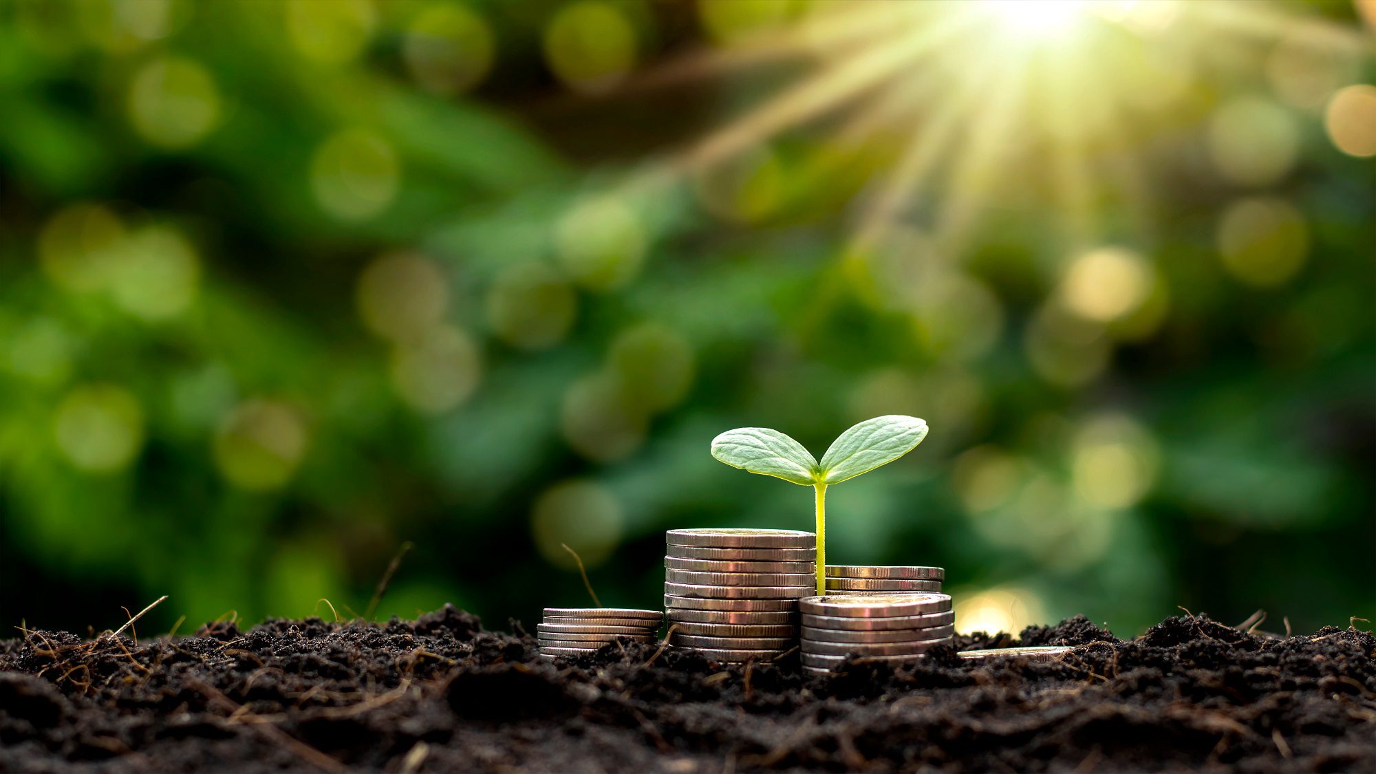 Greenfin : Le Nouveau Label pour Financer la Transition Écologique