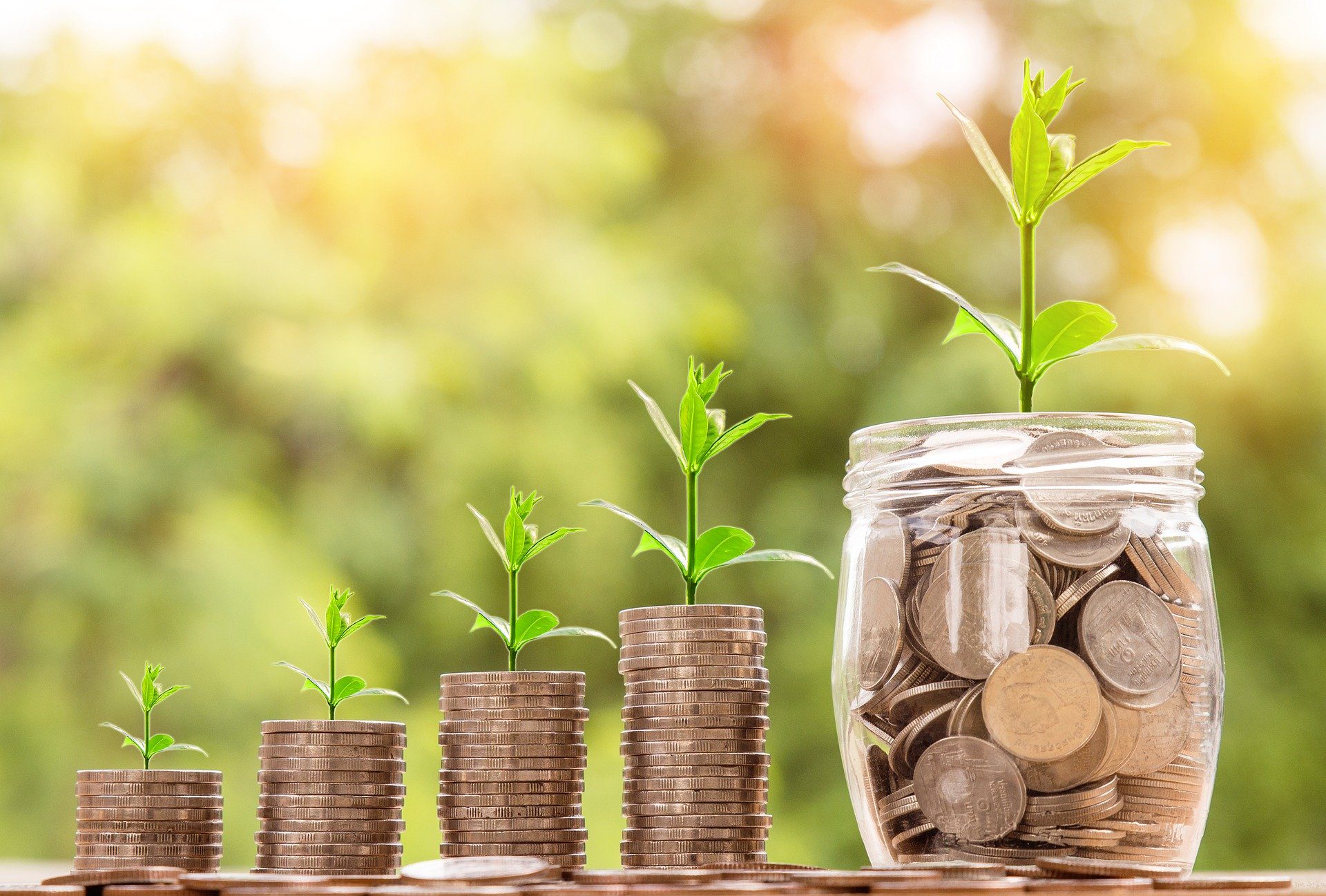 PEL 2014: Guide Complet pour Optimiser vos Épargnes et Profiter des Avantages fiscaux