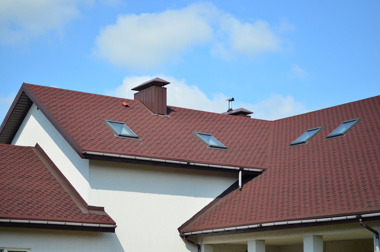 Achat d&rsquo;une maison avec des termites : quels recours possibles ?