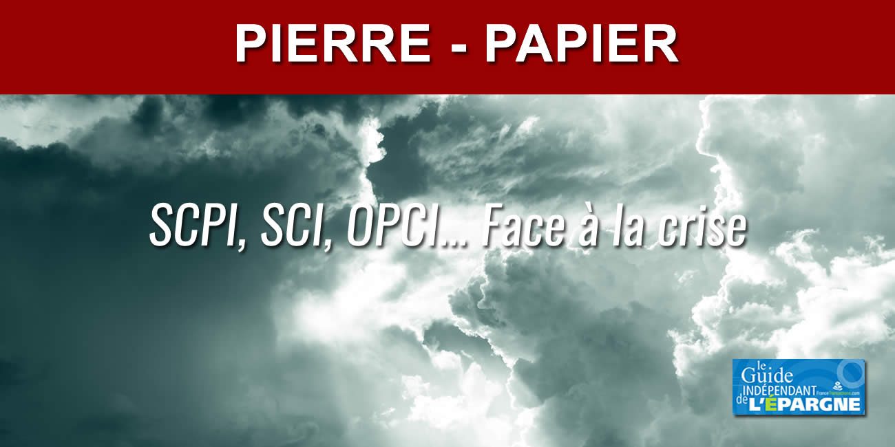 SCPI Primovie : que penser des avis et du rendement ?