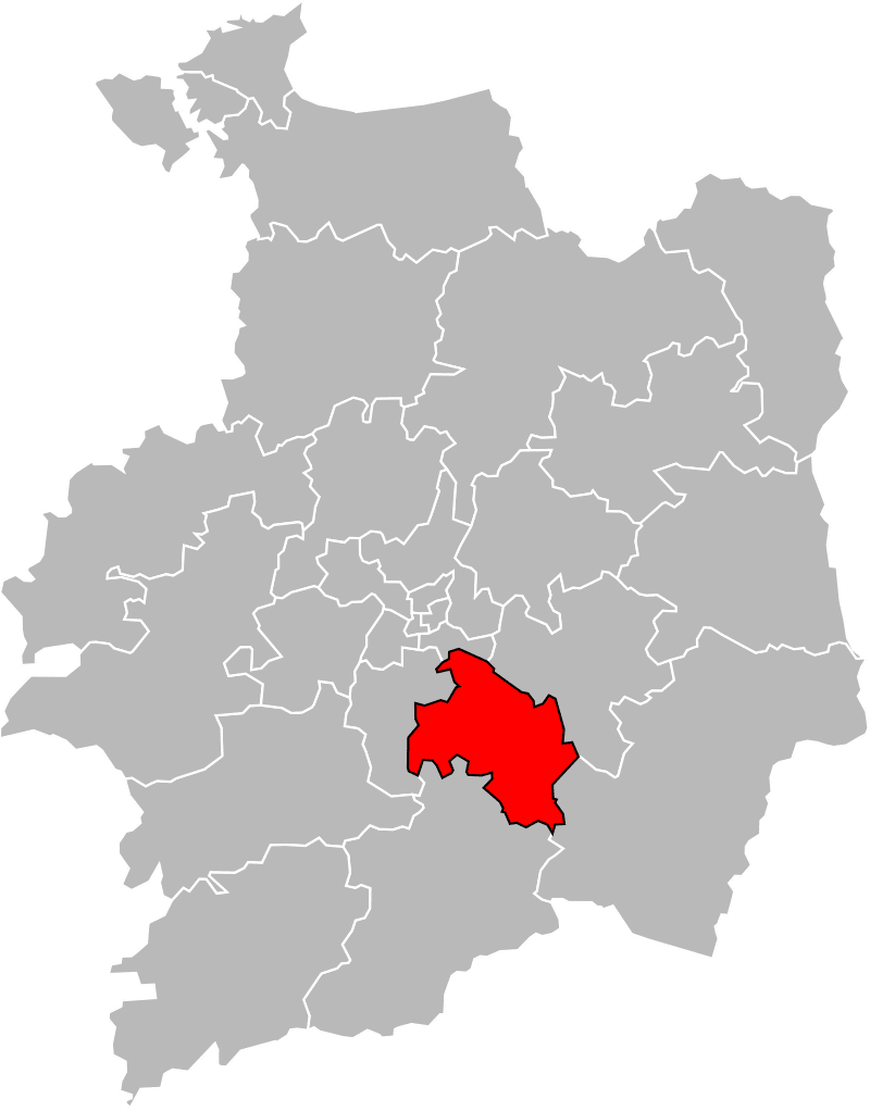 Carte du canton de Janzé