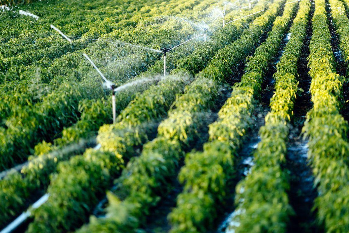 Frais de notaire pour un terrain agricole : comment les calculer