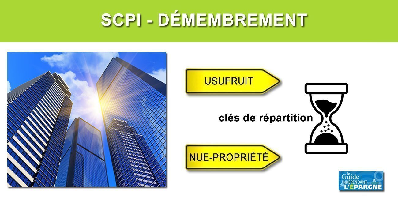 SCPI en nue-propriété : avis et rendement à connaître