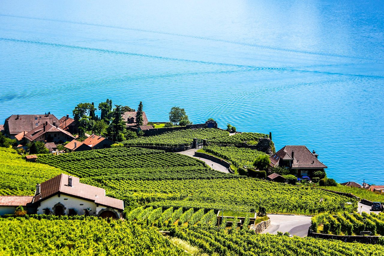 Achat de domaine viticole dans le Var : petit domaine ou grand domaine ?